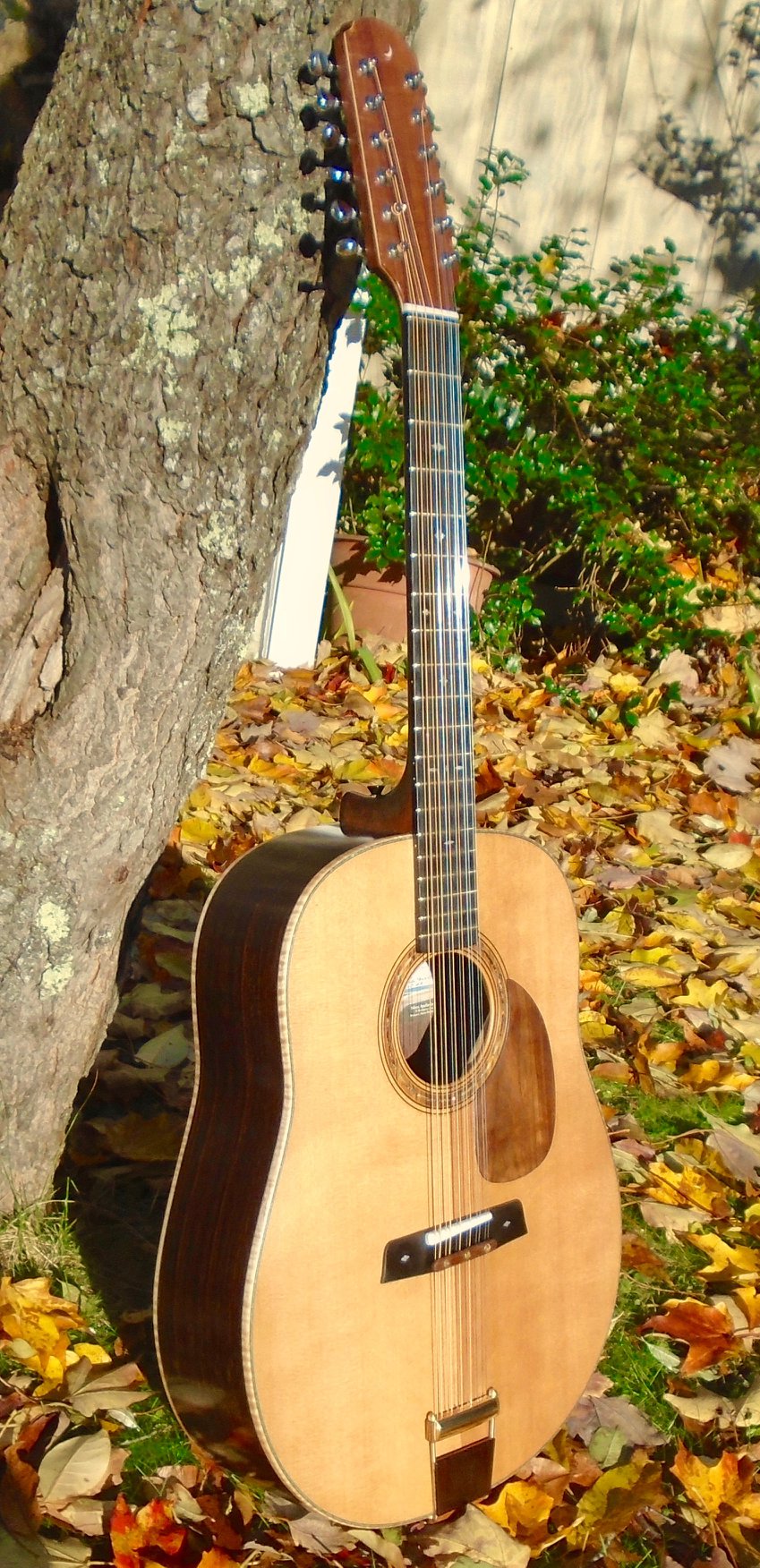 Ne... - Apollo Stringed Instruments - Nikos Apollonio, luthier | Facebook