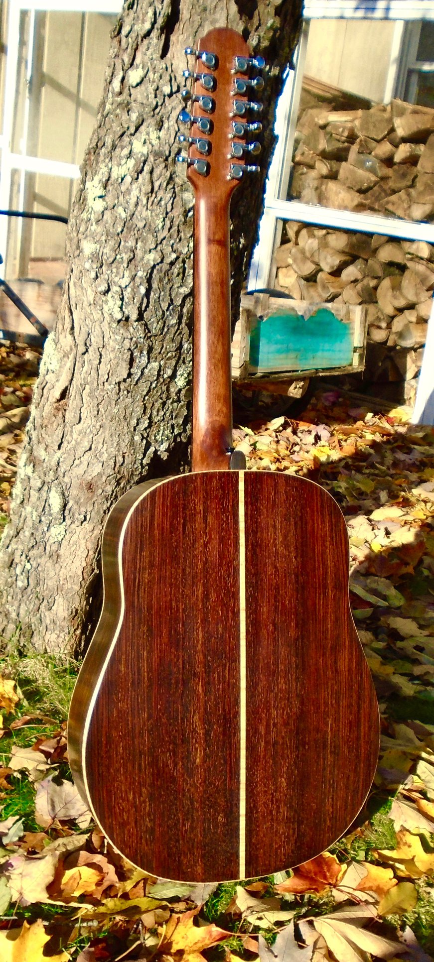 Apollo Stringed Instruments - Nikos Apollonio, luthier