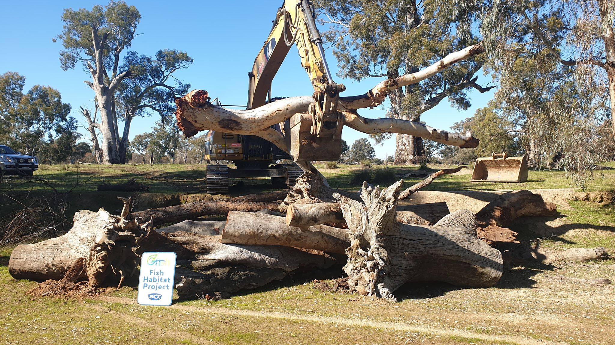 OzFish - Have you ever seen a snag bigger than these? Comment below if ...