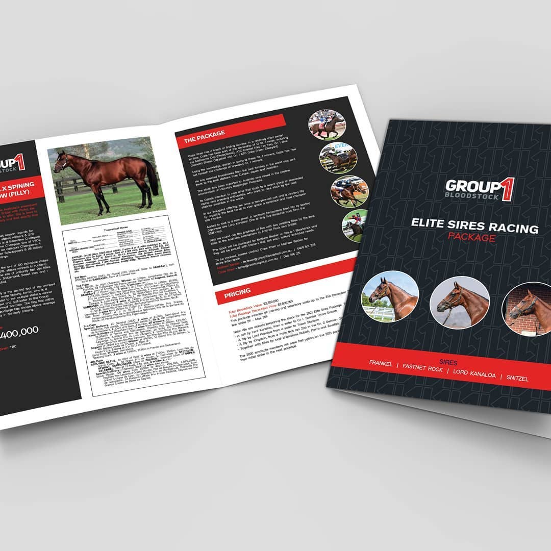 stu_art_graphics_webdesign