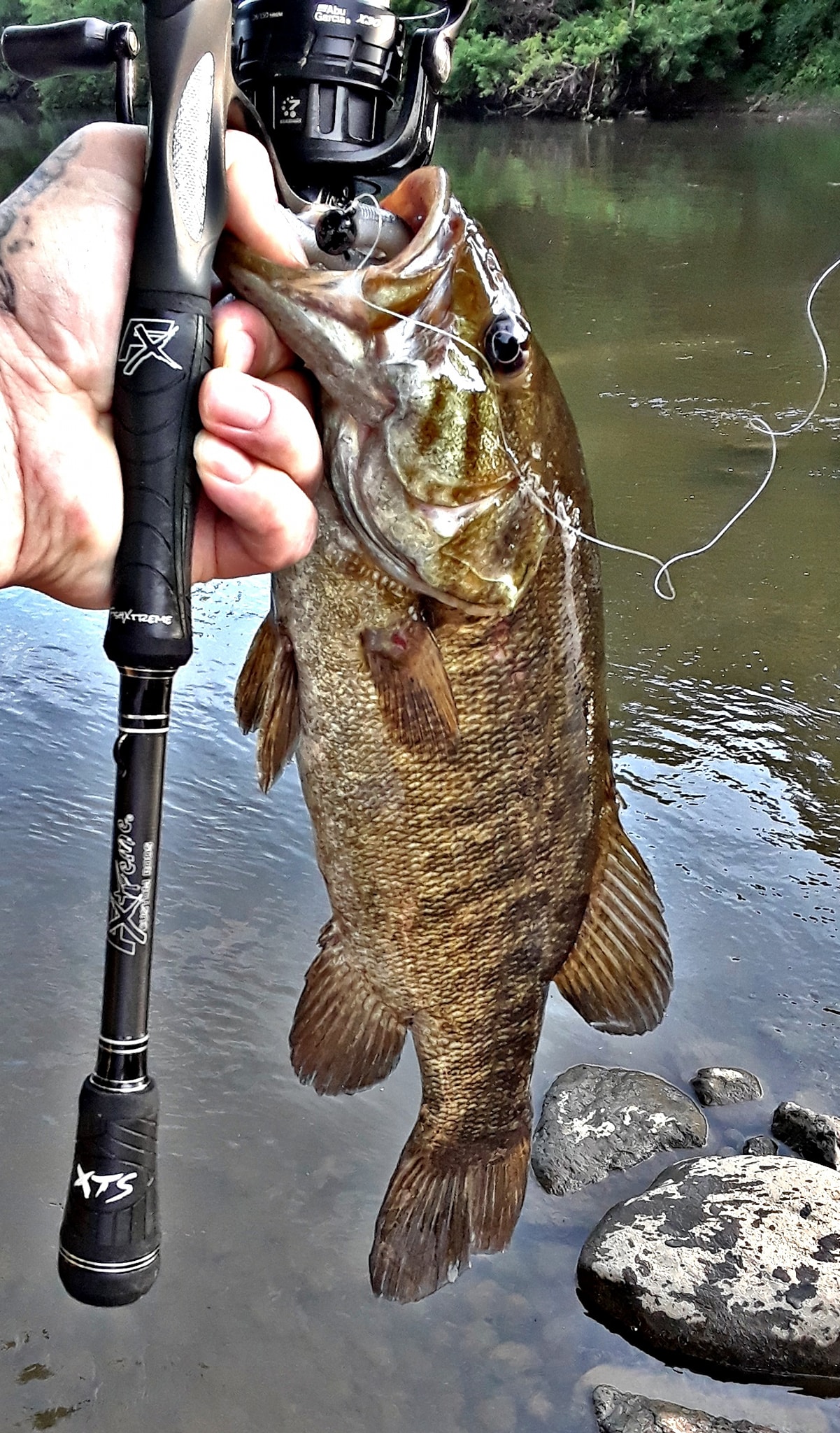 best pier shark fishing reel Burning - Round Baitcasting Reel for Saltwater, Inshore, Surf & Trolling - Conventional Reel for Catfish, Musky, Bass, Pike creek chub REEL SAFE CHARTER HEAD Color:Black Grape T6 machined aluminum frame
