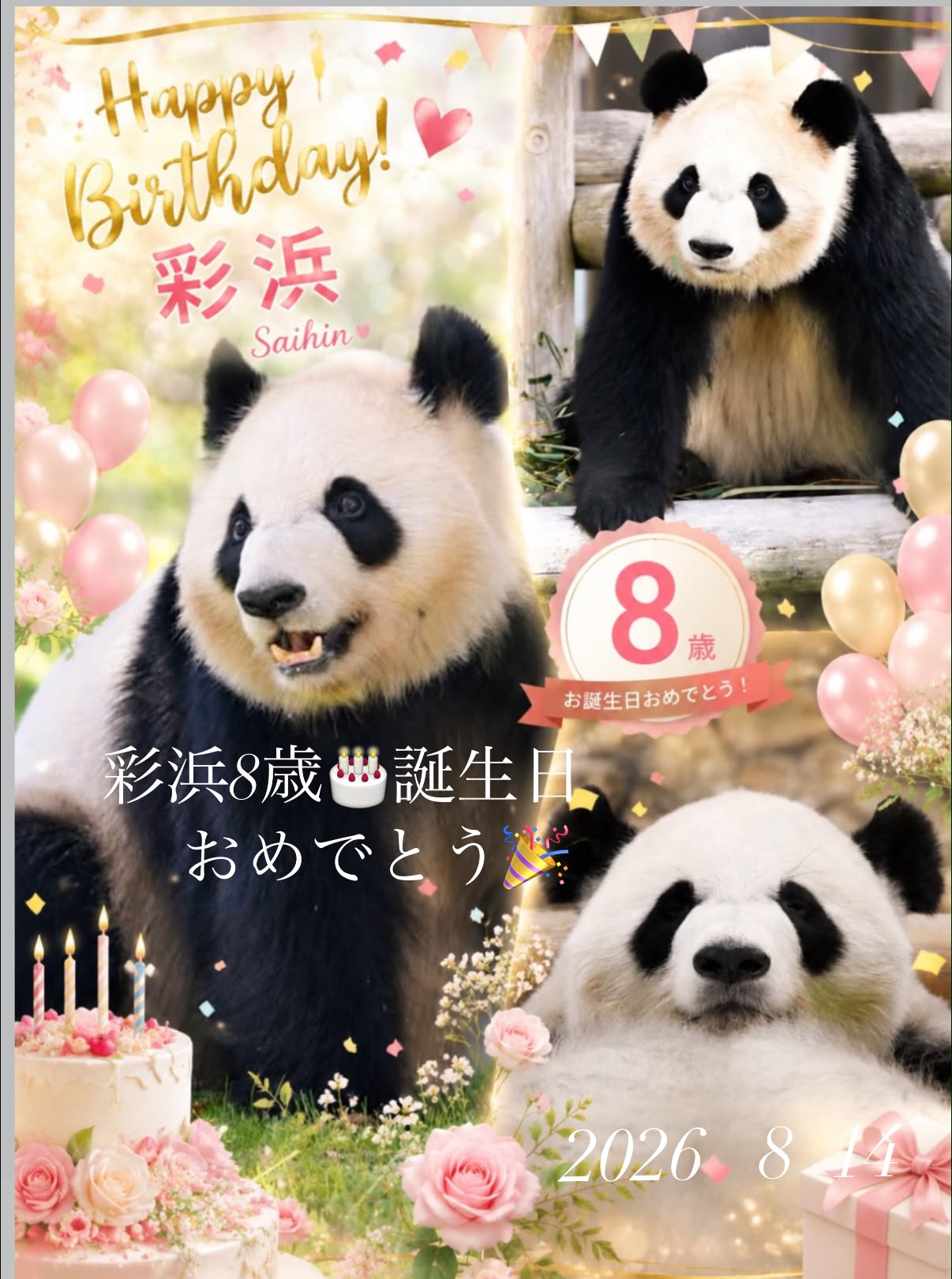 万博の中国館🇨🇳で購入したパンダ🐼さん 花花（ファーファ）の