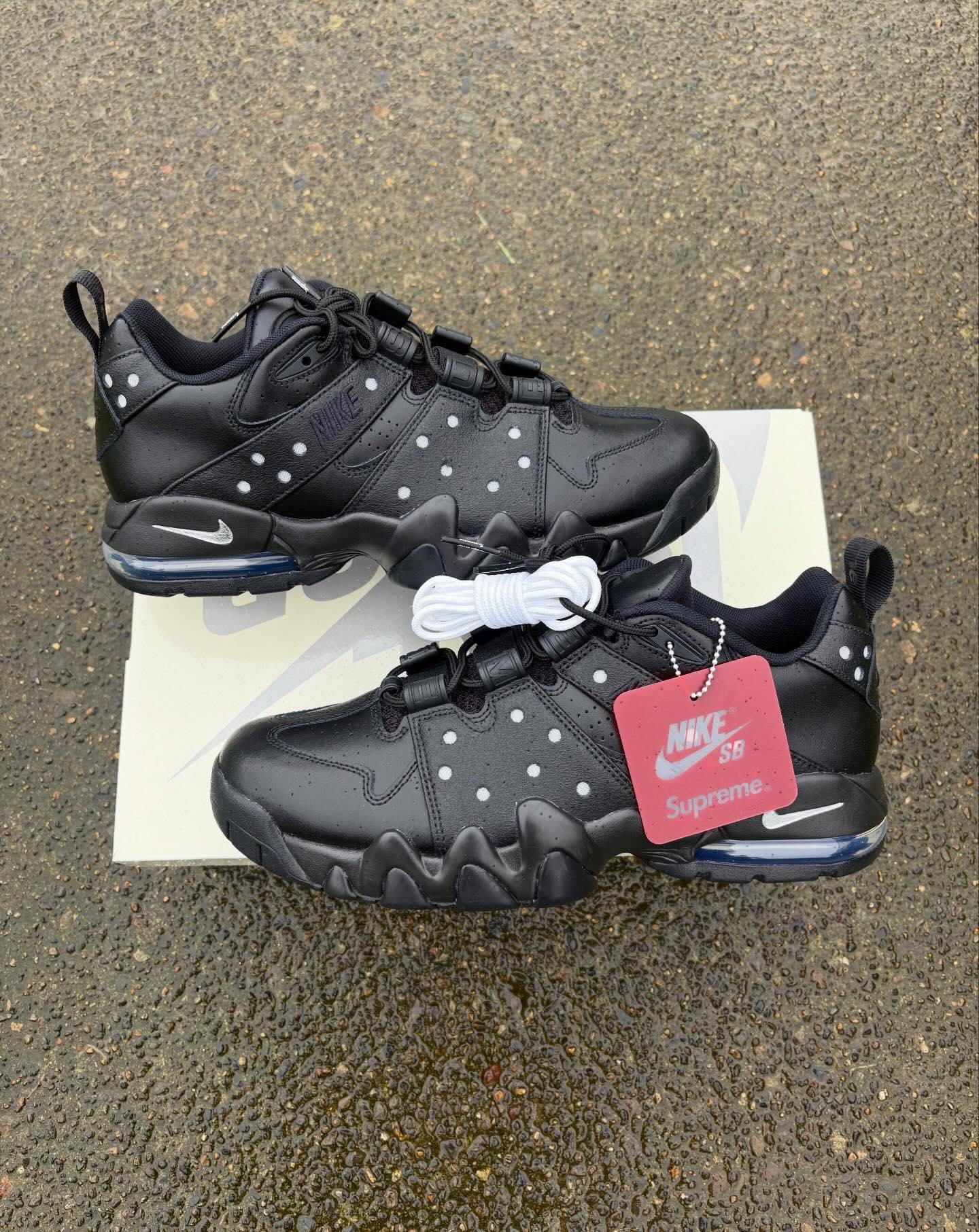 Nike SB Air Max 2 CB 