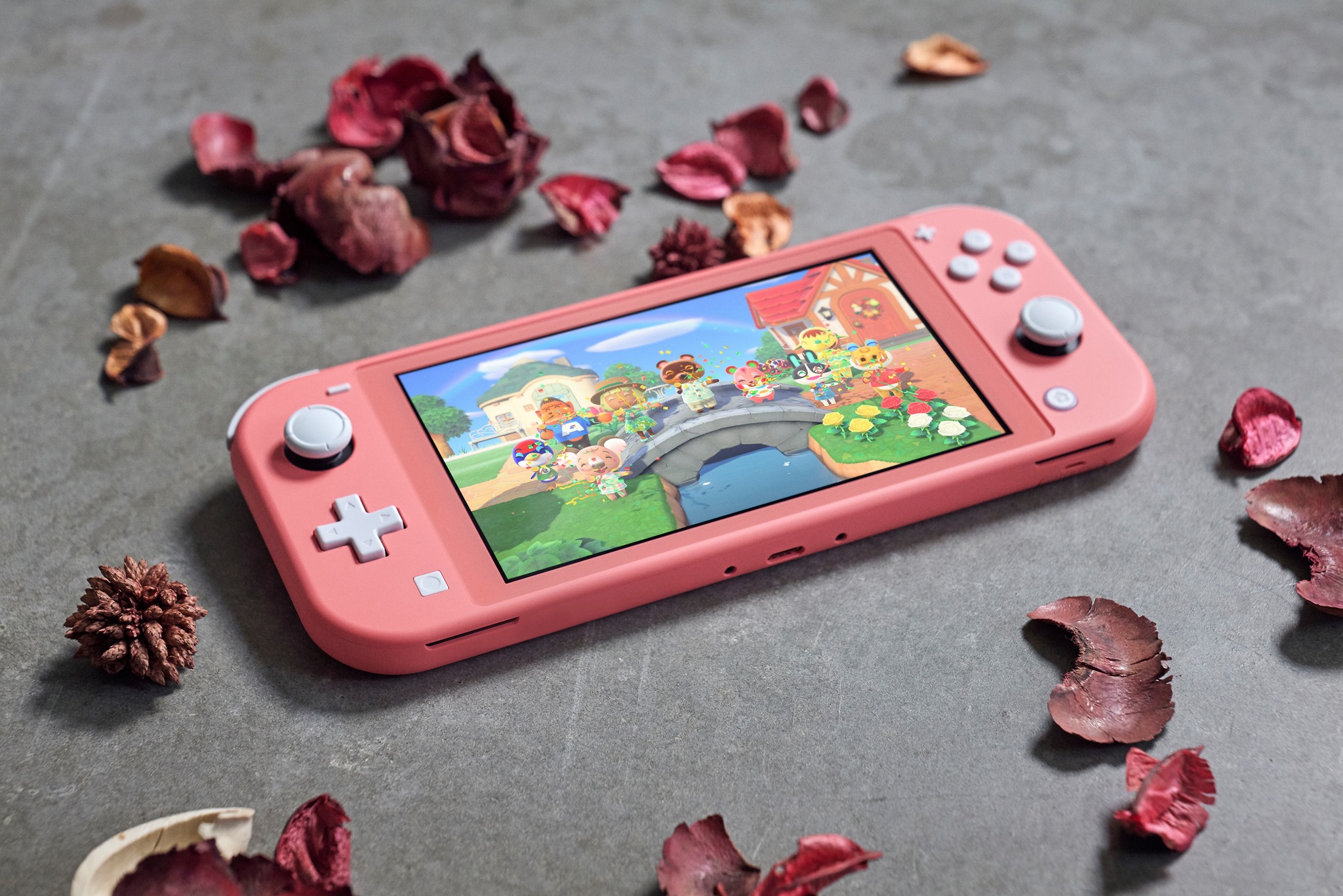 A new splash of color joins the Nintendo Switch Lite lineup! The