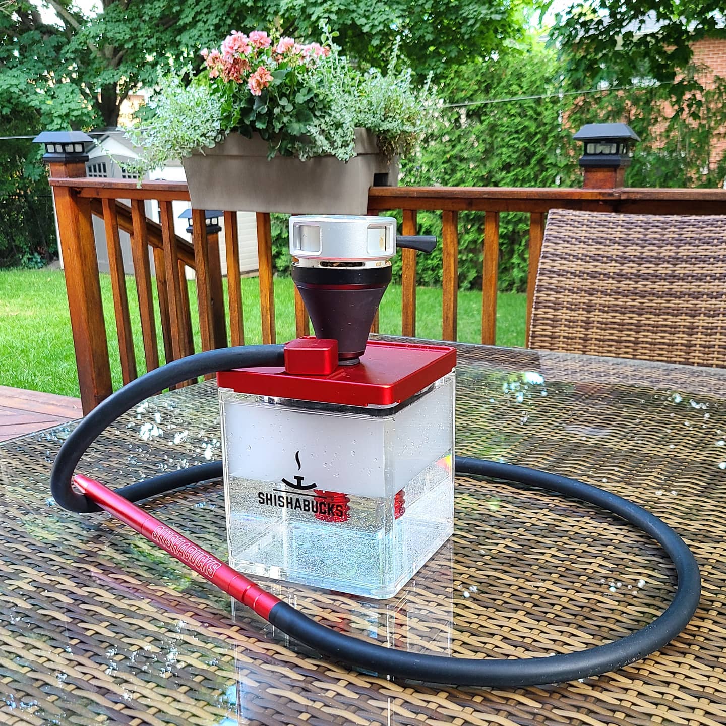 ShishaBucks - Red Cloud|Micro with Black Sky Bowl and Premium 