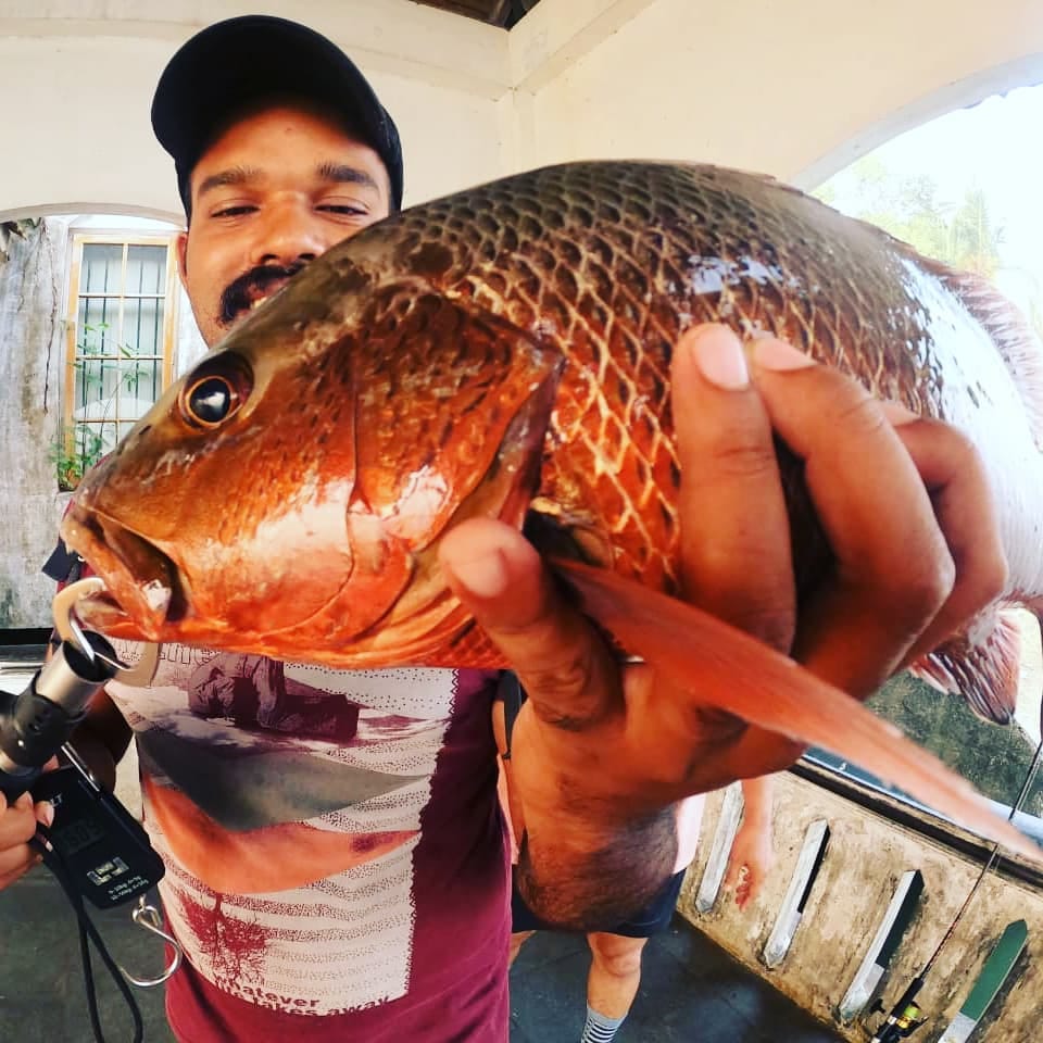 Jd fishing tackles