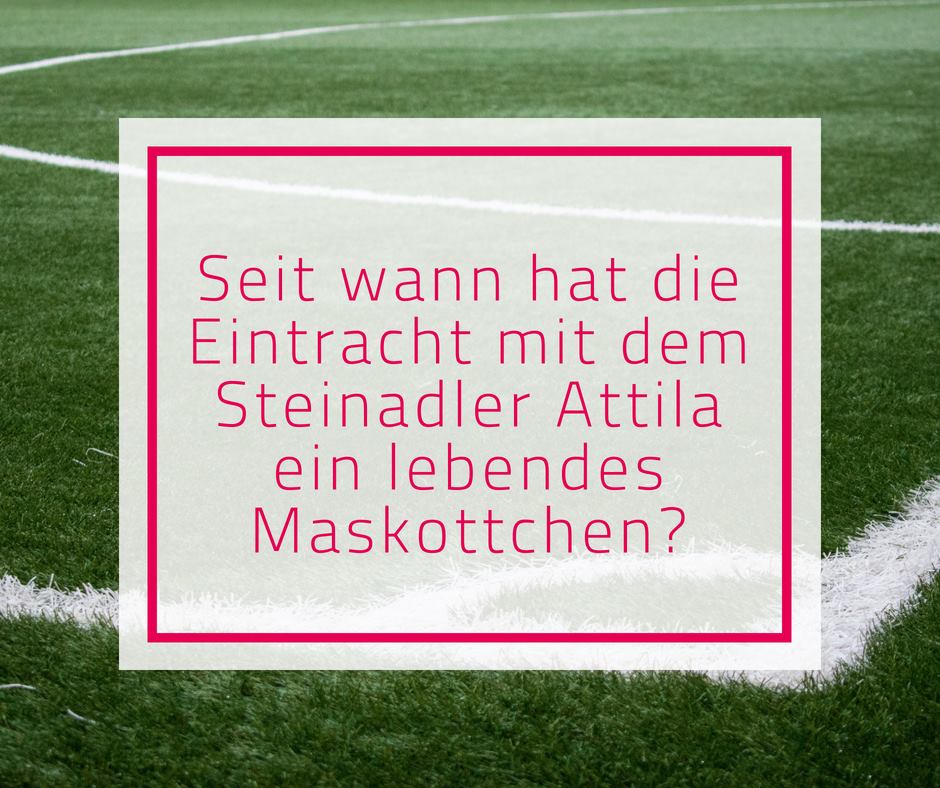 Gewinnspiel Wir Bringen Euch Auf Die Suwag Energie Ag