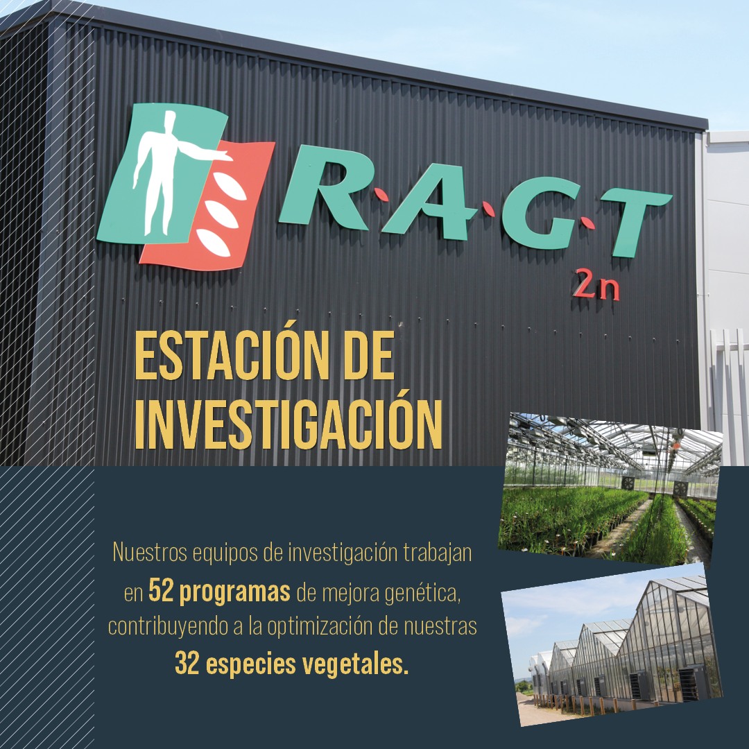 RAGT - ¿Qué es RAGT 2n? La filial de investigación de RAGT. En pocas ...