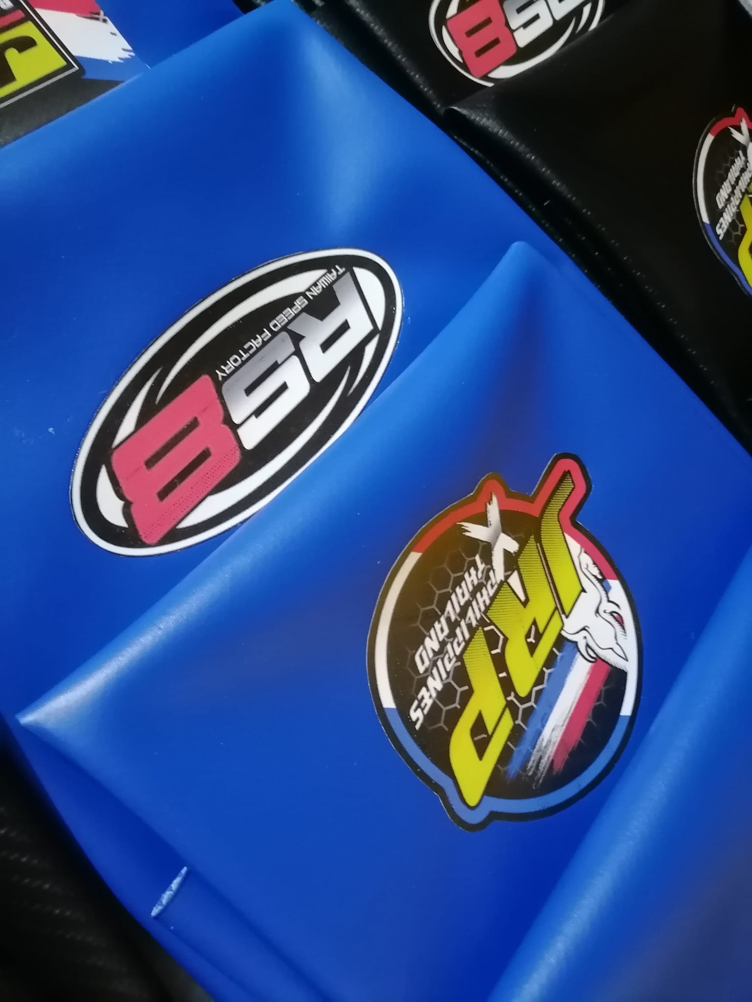 2S Stickers and Prints | Alicia