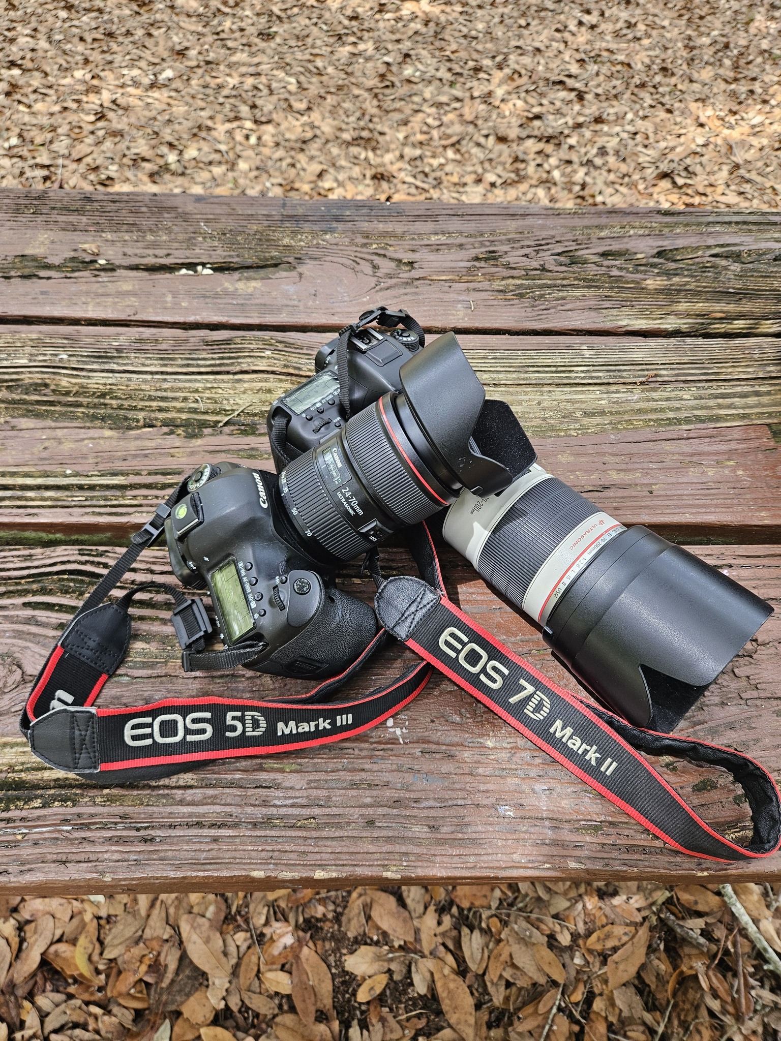 Upgraded Canon EOS kit with 7D Mark II and new lenses
