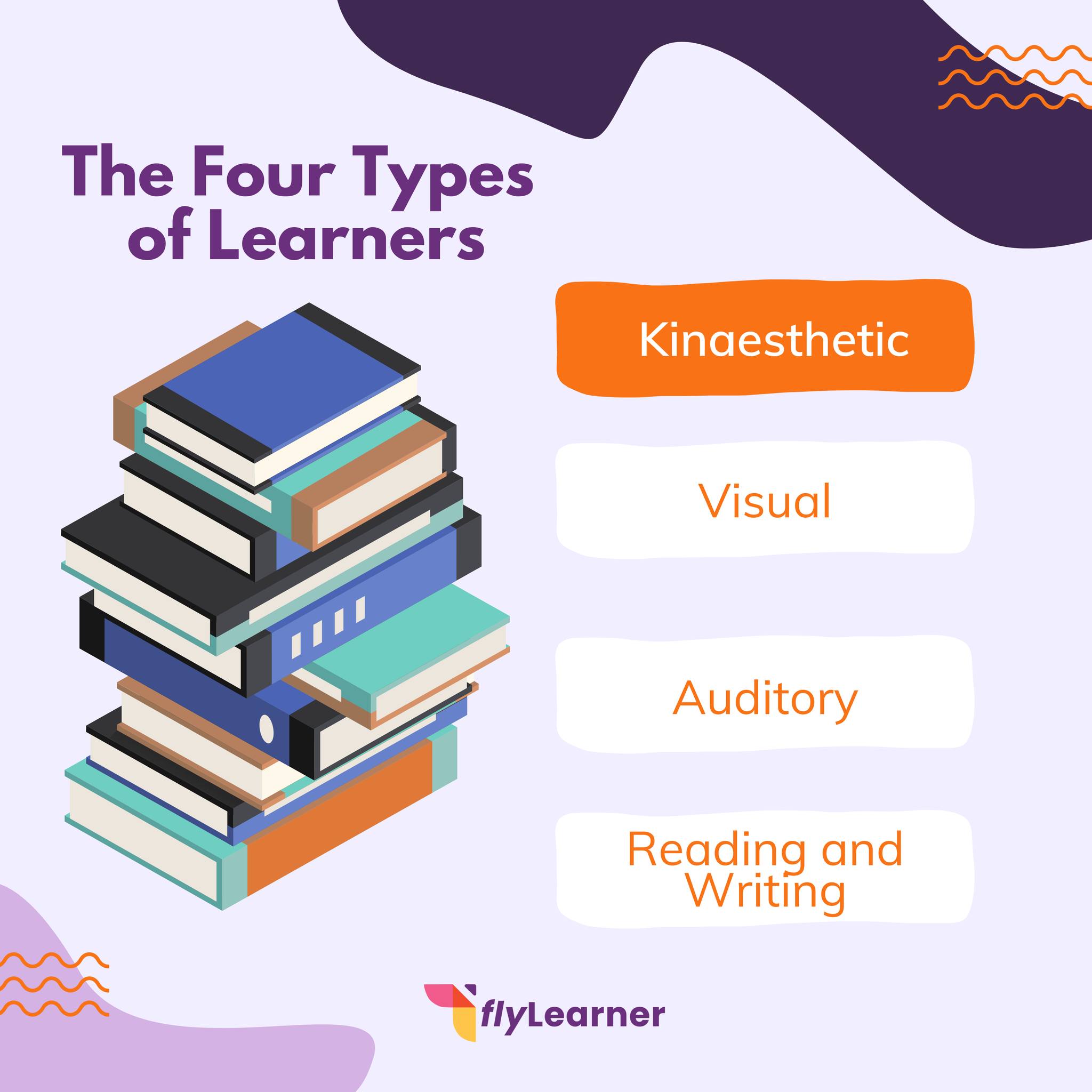 Fly Learner - Did you know there are 4 different learning...