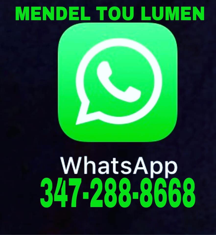 Mendel Raphael