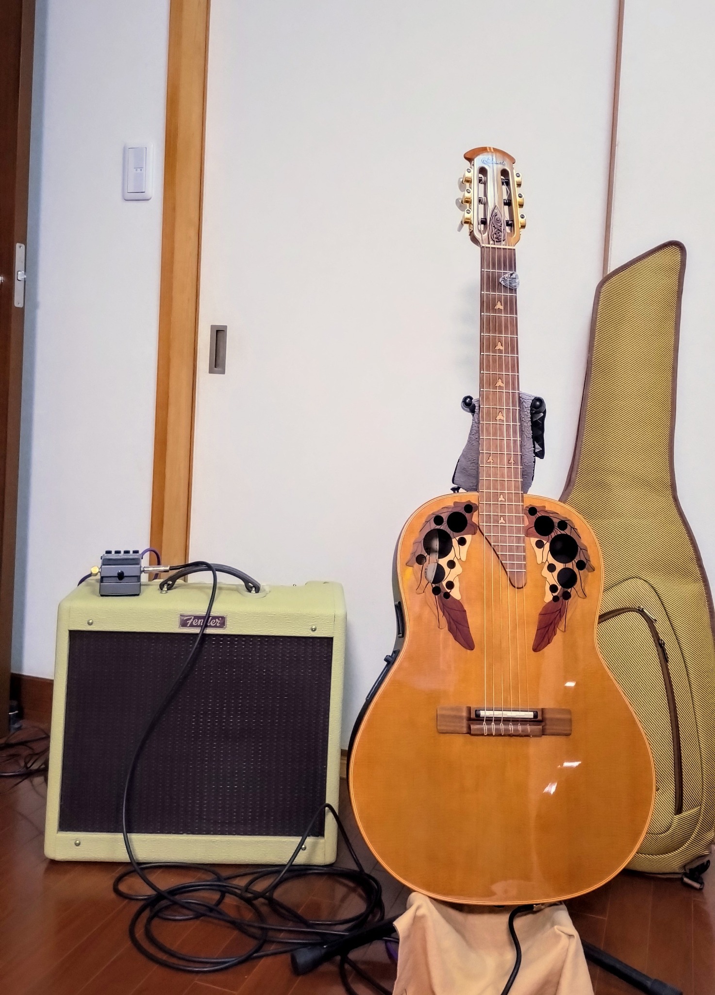 ナイロン弦は指に優しい?? 久し振りに弾いてみた… OVATION 1713 - X 