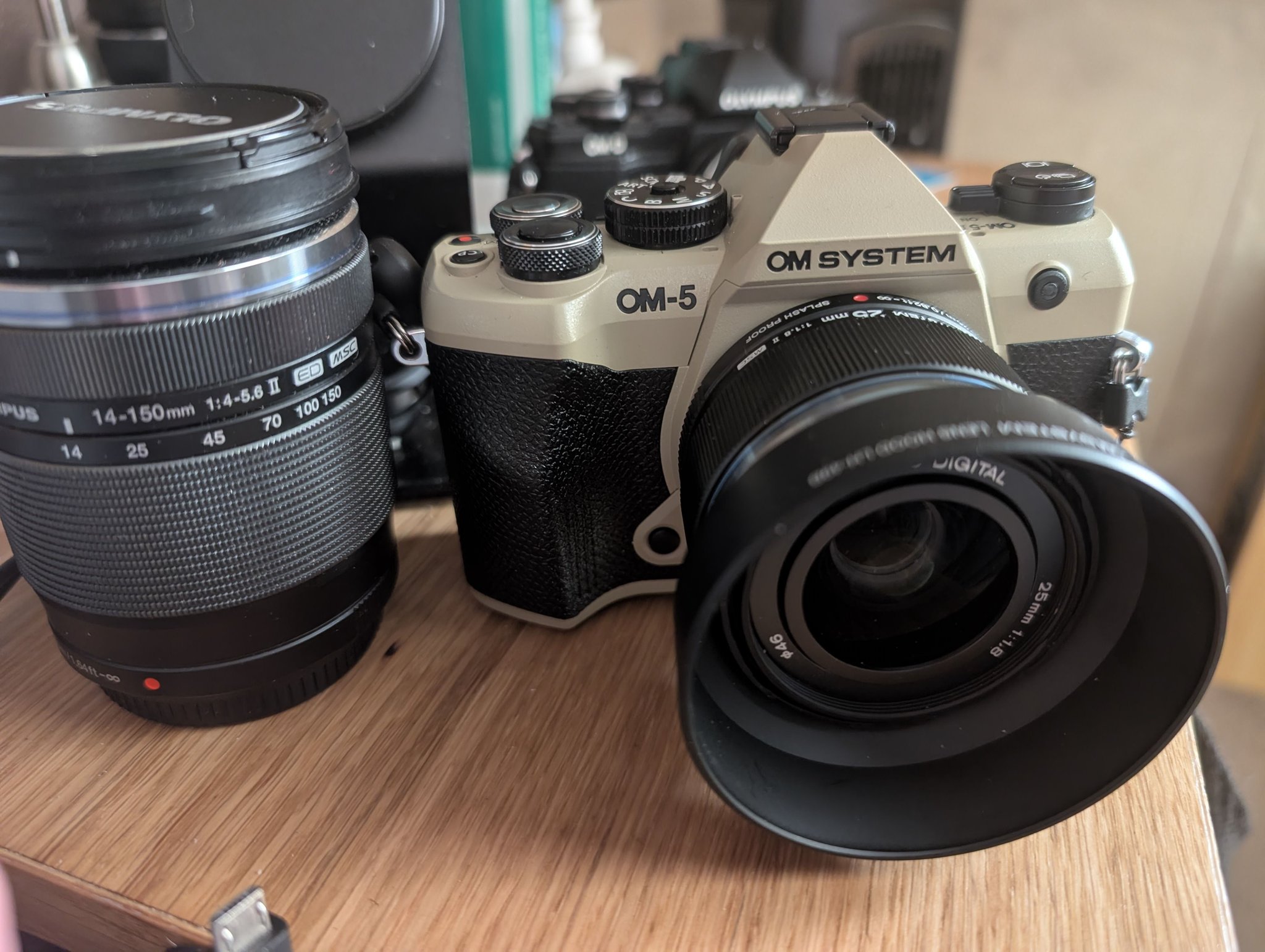 Using 25mm f1.8 lens on OM-5 camera