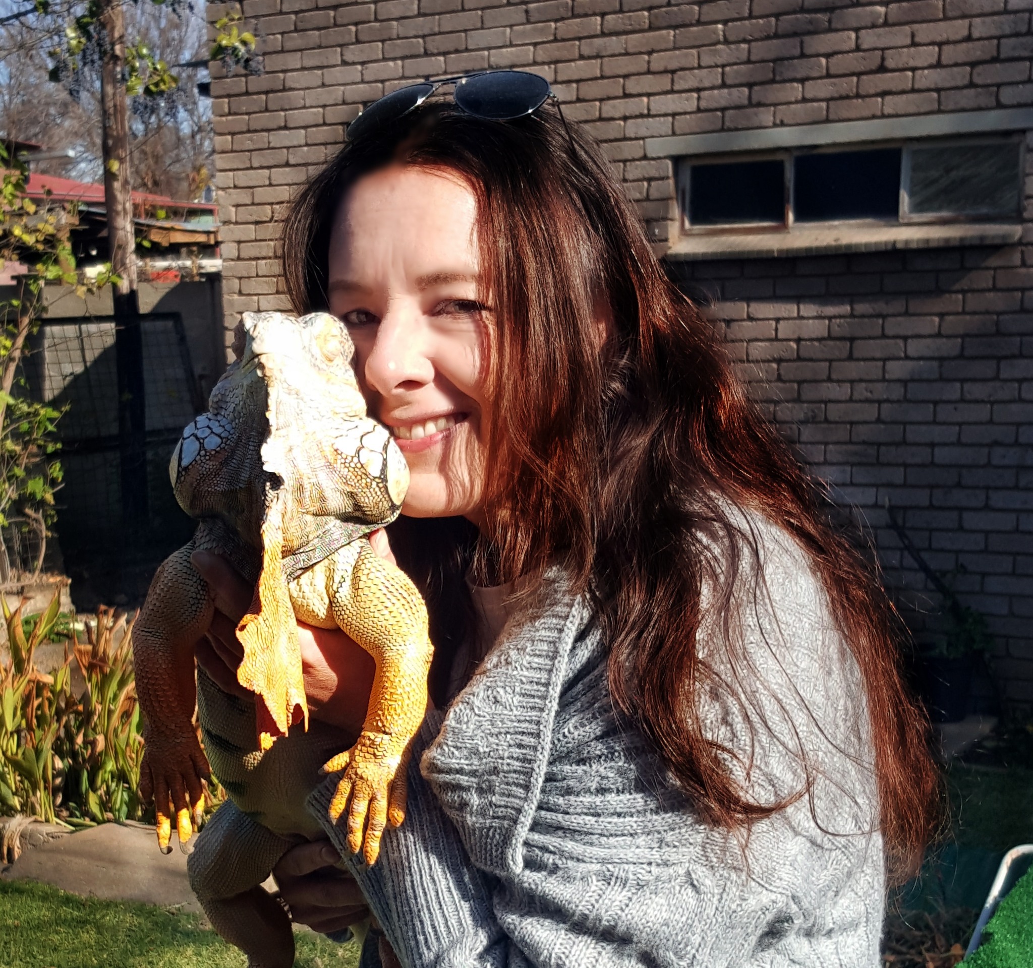 Miss Zara out for some sun and fresh air...#ballpython #snakes #animals ...