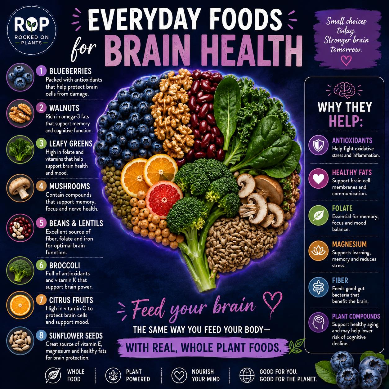andrew lessman memory and brain with acetyl l carnitine Feed your mind boost your what you eat. Look for foods that include omega-3 fatty acids, antioxidants, vitamin K, zinc and other compounds that impact your brain. Learn which Filter__Bestsellers Size:10 x 5mg Lab Pack 2 Kojic Acid Soap with