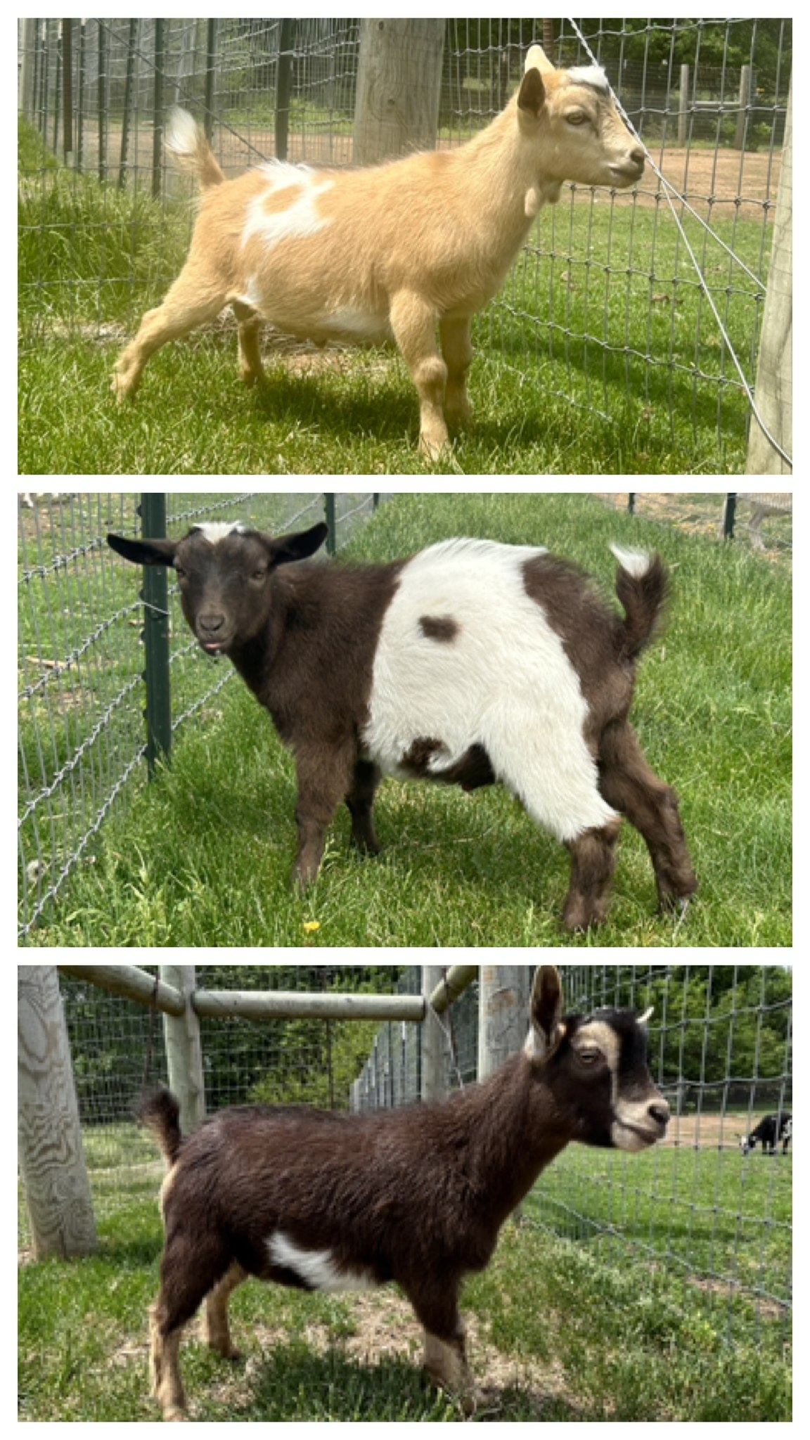 Triple R Family Farm