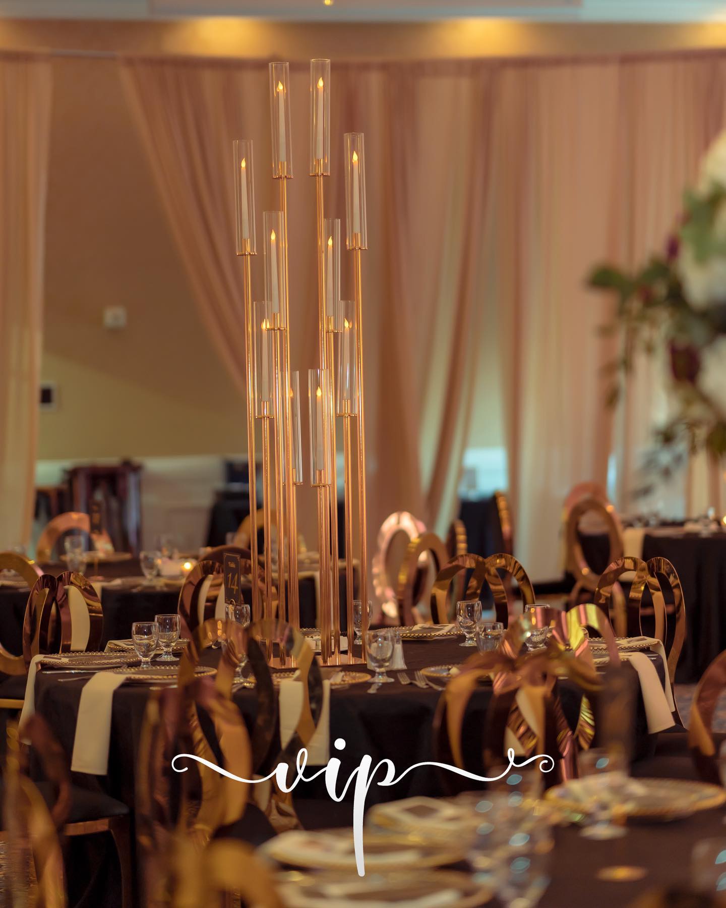 VIP Event Rentals | Dearborn MI