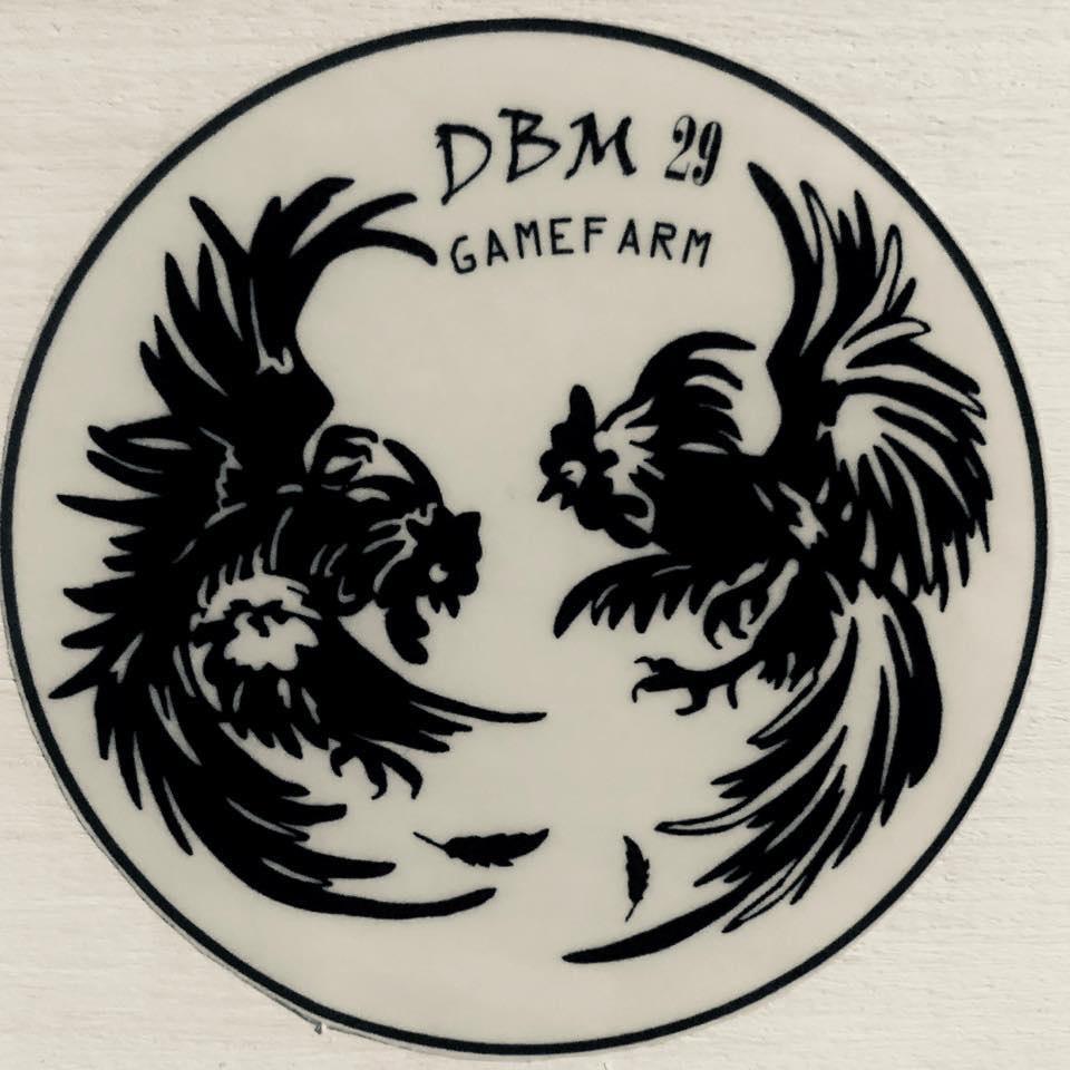Ubusan 1st leg: Anda DBM29 -... - Bim Dbmtwentynine Bellen | Facebook