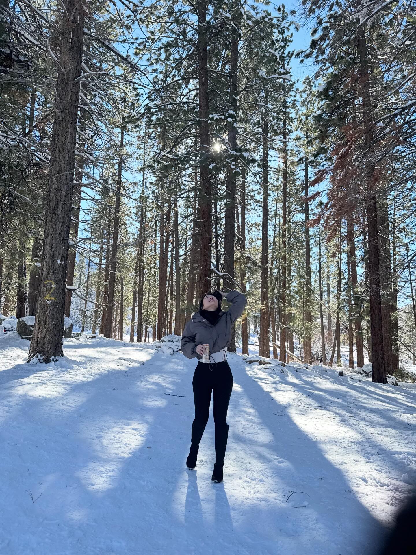 Yassi Coo - Yassi Coo added a new photo — in South Lake...
