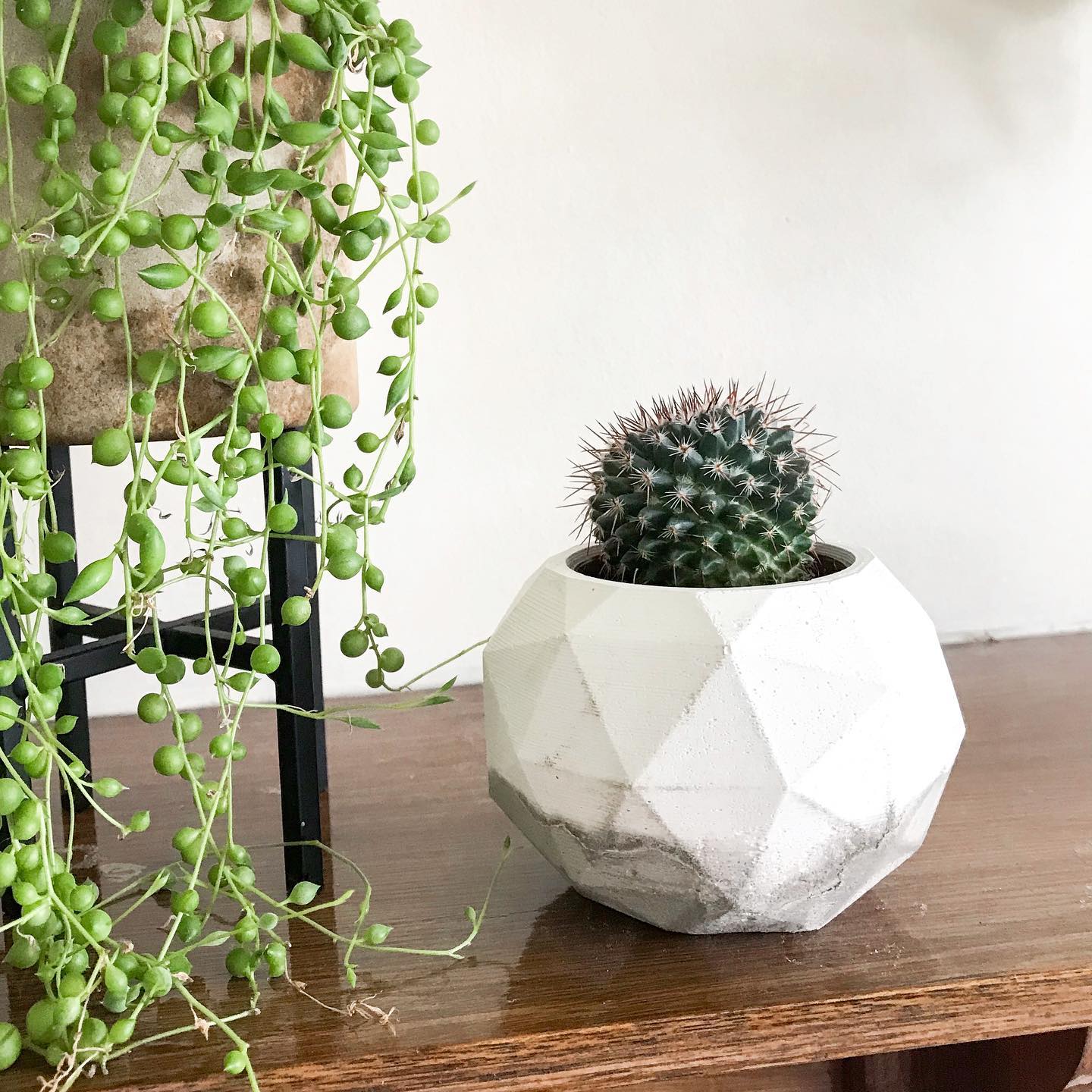 Apricity Creative - Home