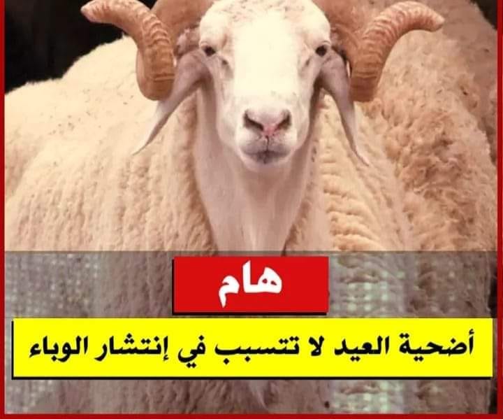 Only DZ - 🔴📌 المجلس الوطني المستقل للأئمة 💬 : ليس هناك أي... | Facebook
