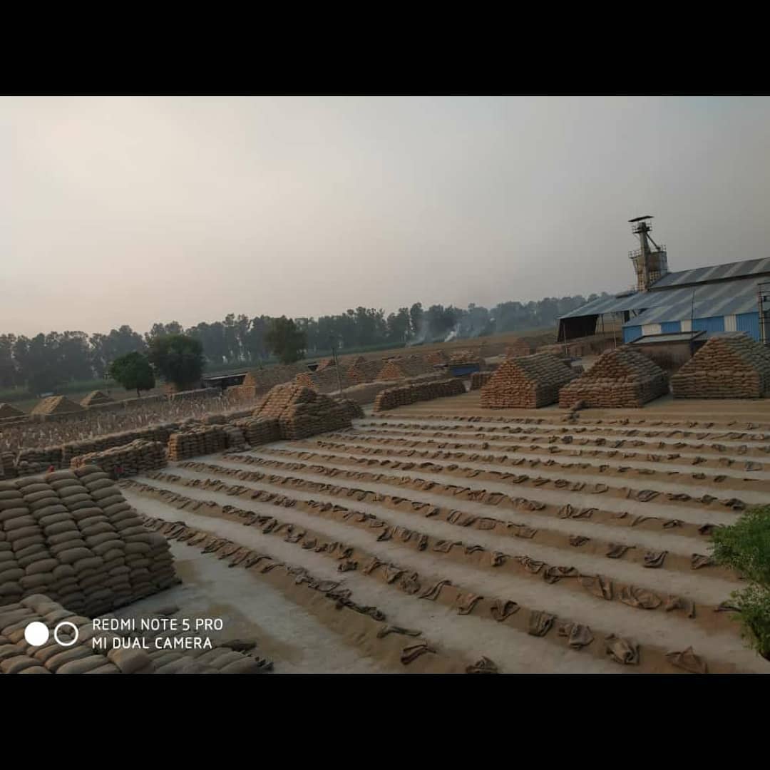 AMAR RICE MILL | Karnal