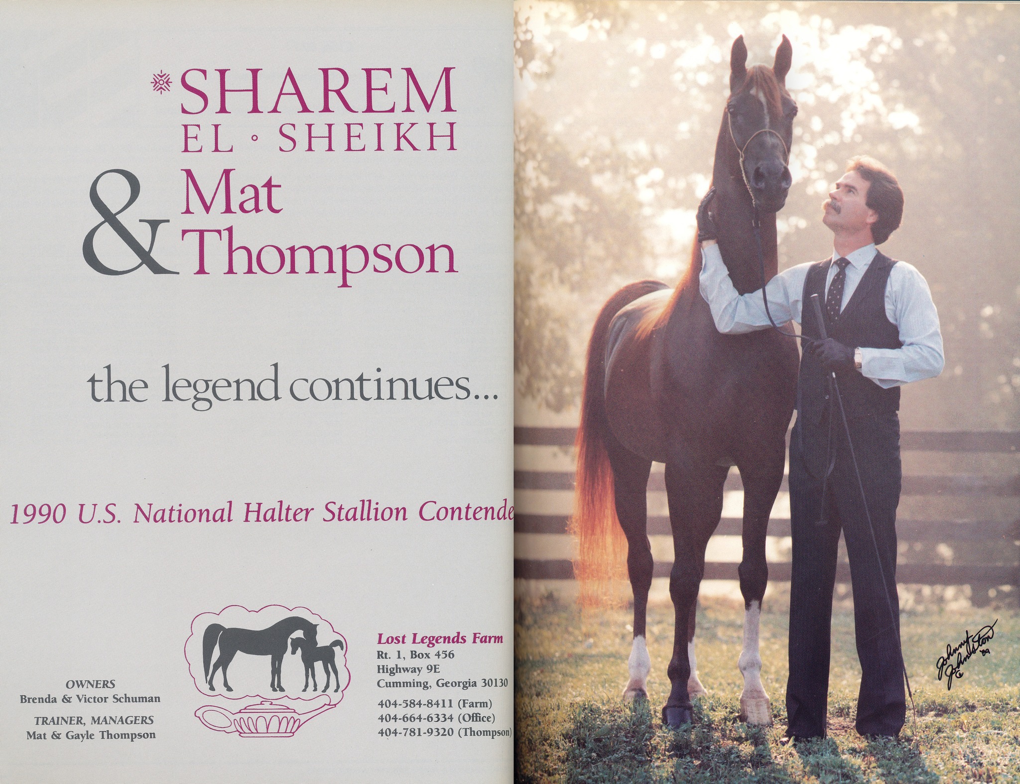 Eternety+ (Sharem El Sheikh x Tomboy) 1988 bay stallion. Bred by