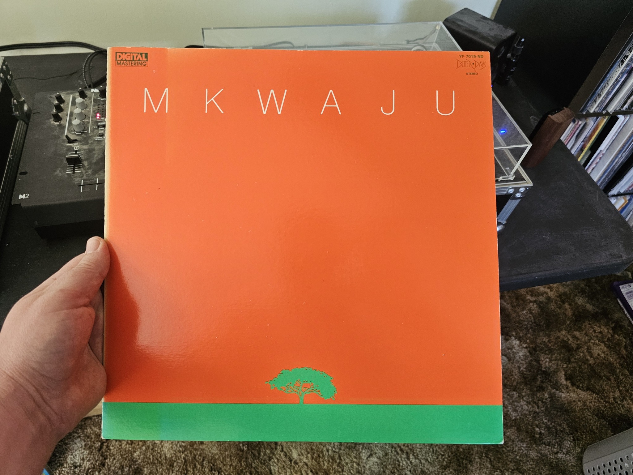 Minimal, maximal. Moody, joyous. Percussive, melodic. Abstract 