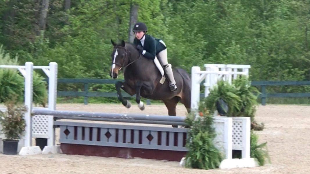 Congratulations Black Ridge Farm on... - Quiet Rein Sales | Facebook