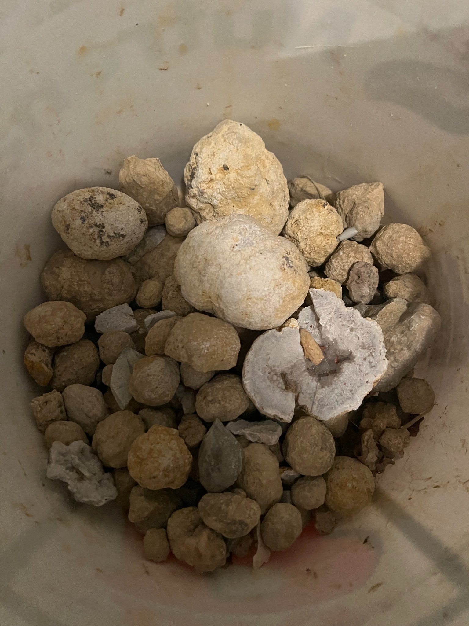 Bucket of Geodes - Rocks, Fossils & Minerals - Washington, Illinois ...