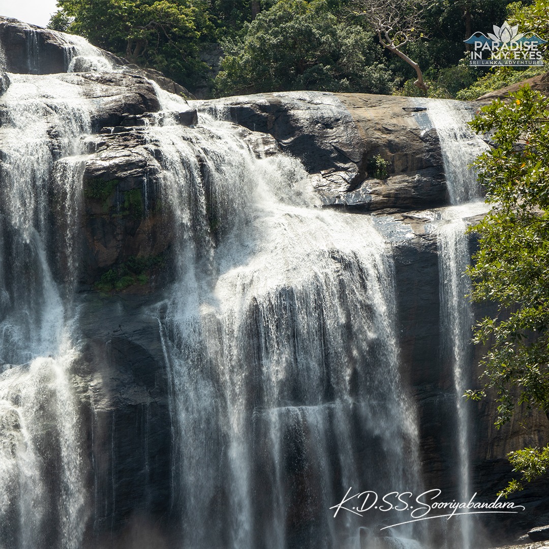 NATURE 🍃 🌸 | Discover the breathtaking Rathna Ella Falls near Hasalaka ...