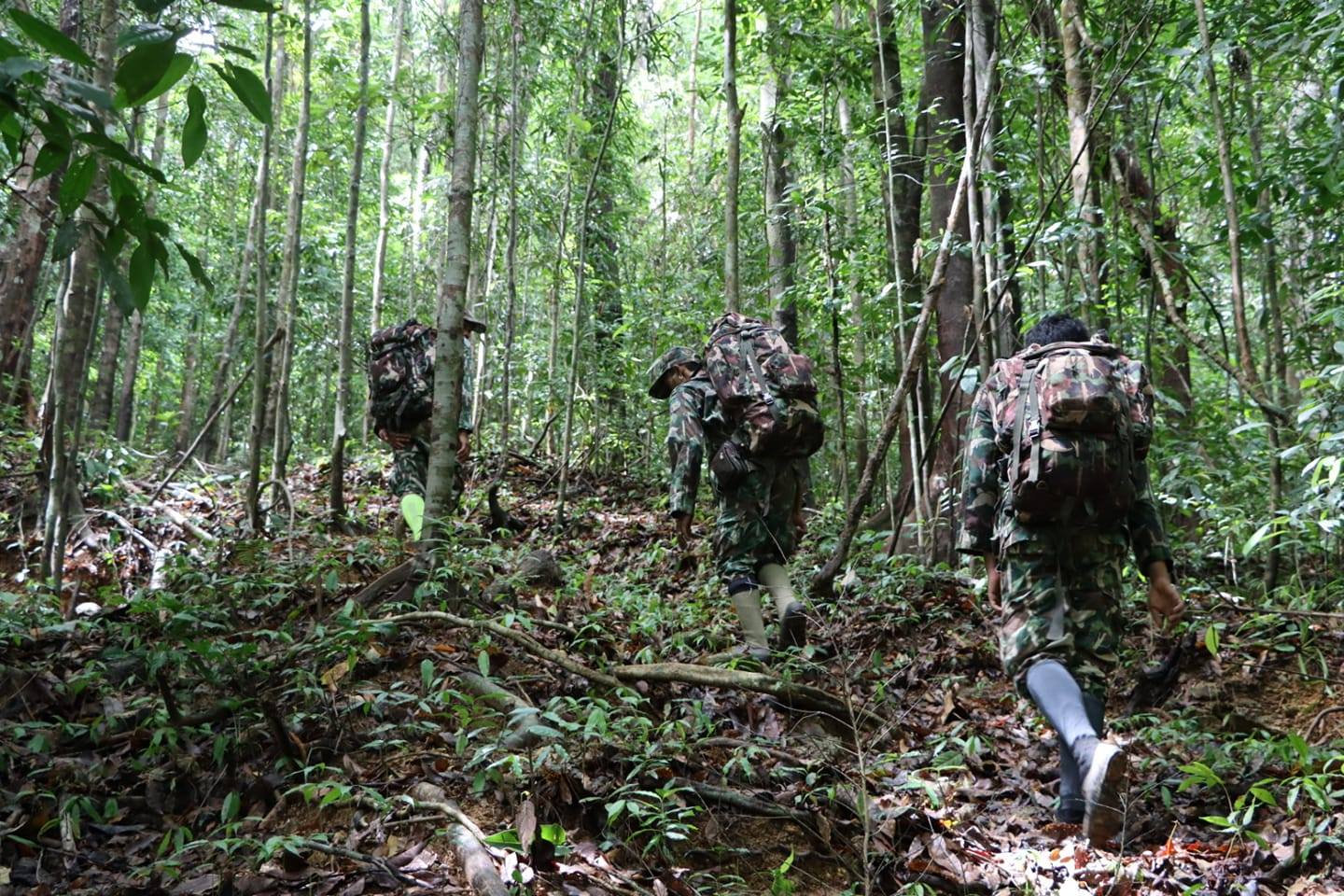 ล่าสุดไทยตัดละฮะ โดยตัดงบจ้าง... - ผู้พิทักษ์ป่า TOR Ranger | Facebook