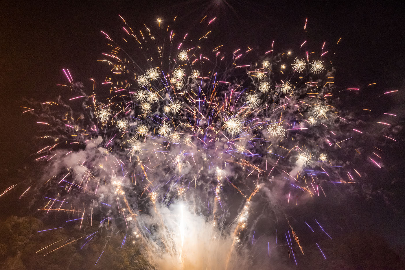The Fireworks in the Park. - Congleton Rotary