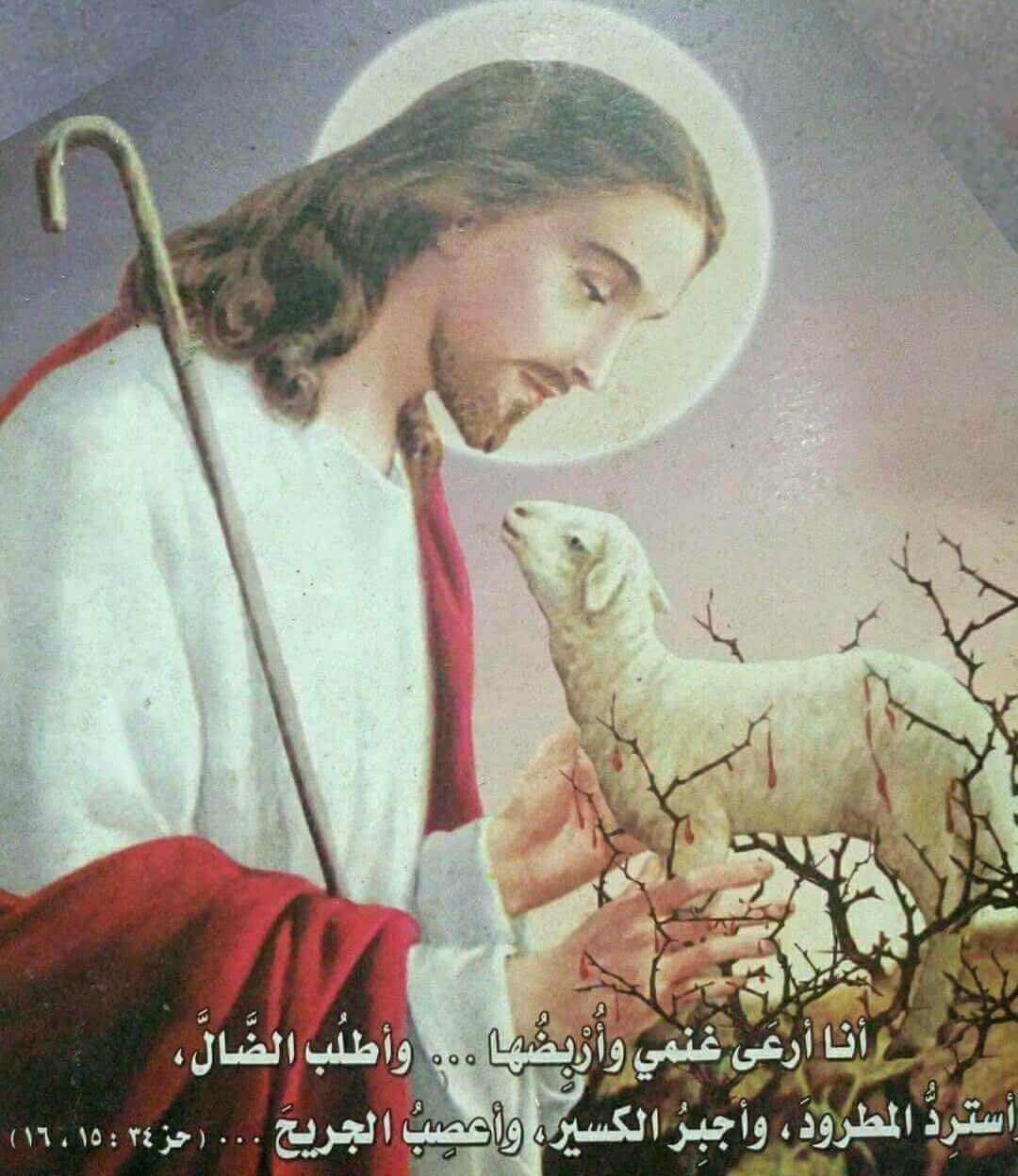 كنيسة - تأمل روحي خرافي في يدي. في إنجيل يوحنا ١٠ قال الرب يسوع: أنا ...