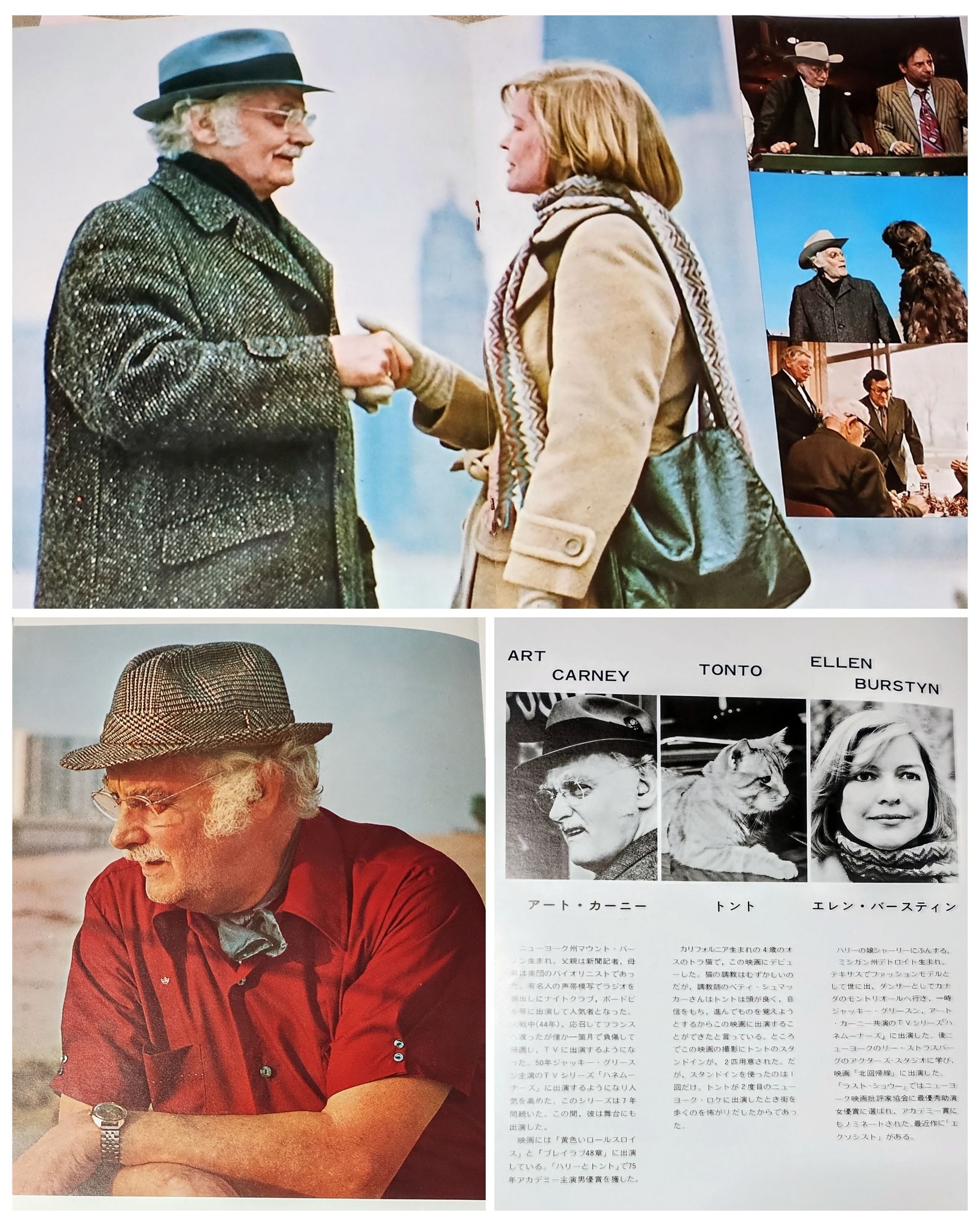 BSで何十年ぶりかに「ハリーとトント」を観ました。1974年の作品ですが