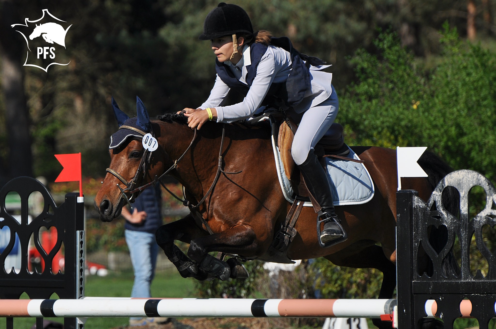 Association Nationale du Poney Français de Selle ANPFS - [TDA Saint ...