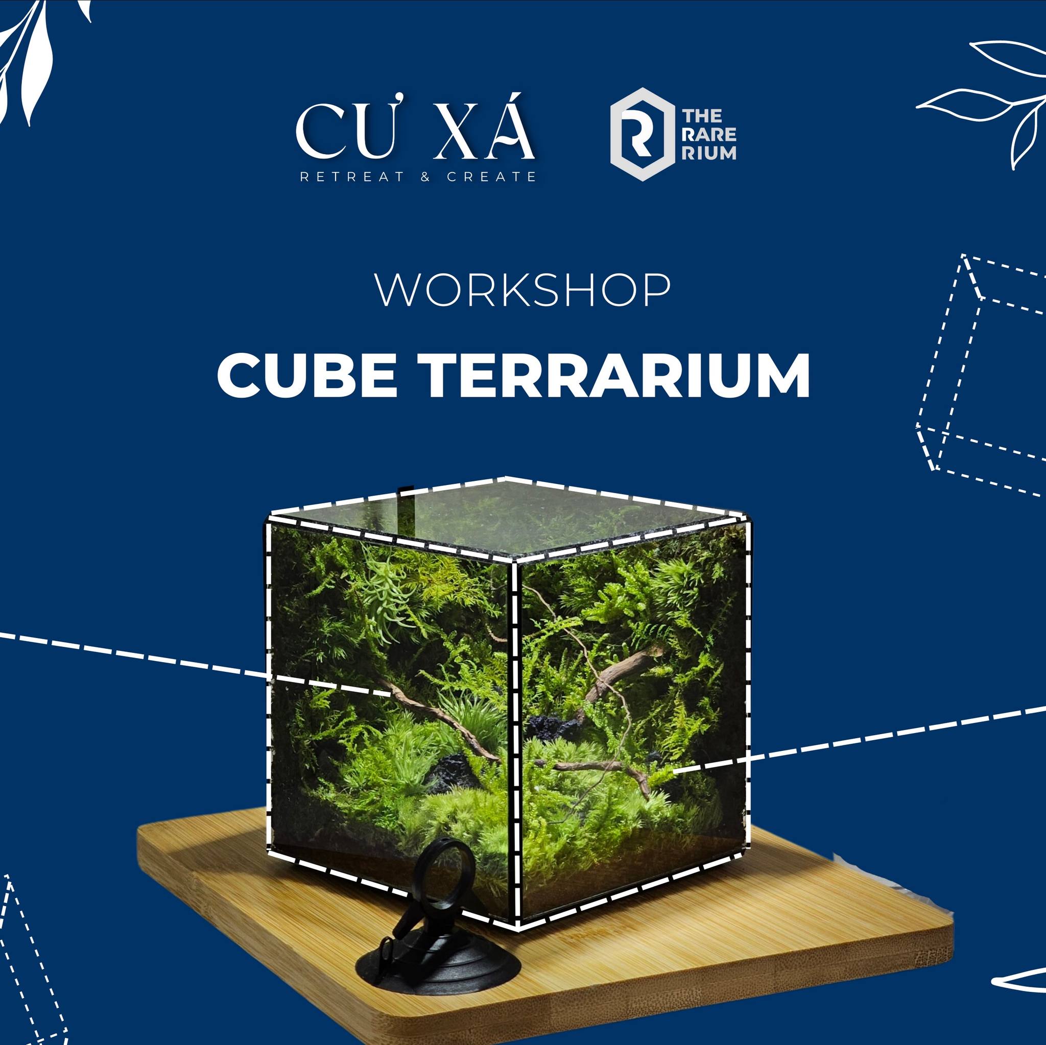 WORKSHOP TERRARIUM TRỞ... - The Rare Rium - Plant & Moss Art
