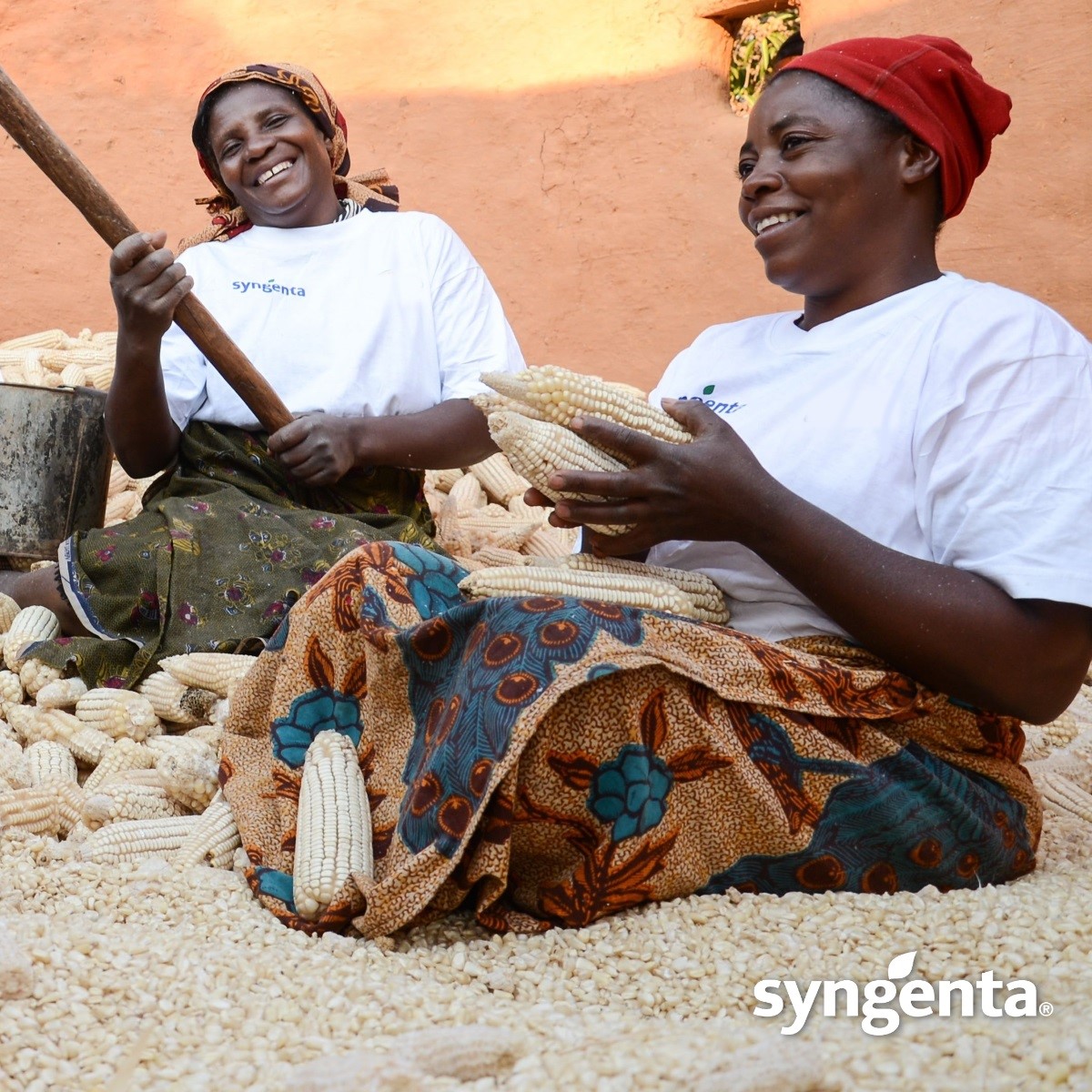 Syngenta - #AGoodFarmerKnows the secret to a good harvest... | Facebook
