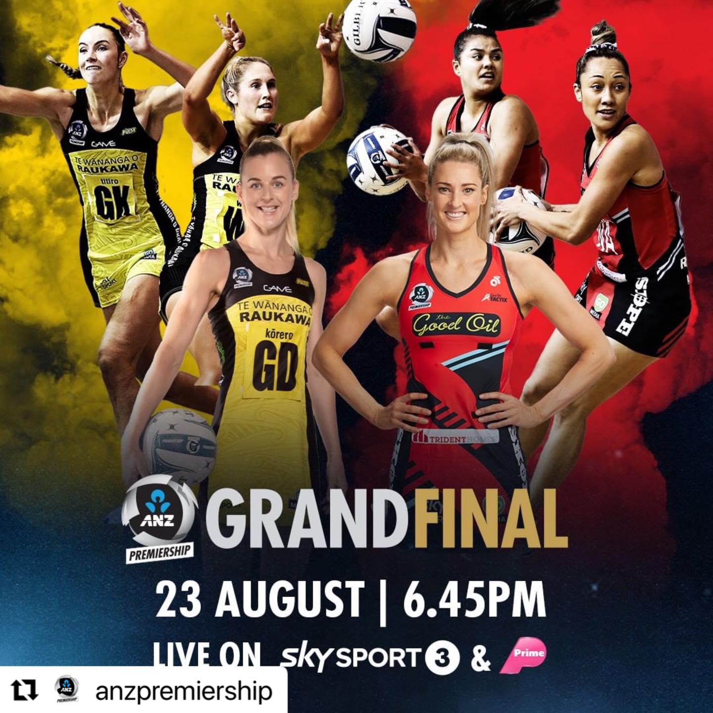 NETFIT Netball - 🏆 GRAND FINAL GAME DAY 🏆 . Will... | Facebook