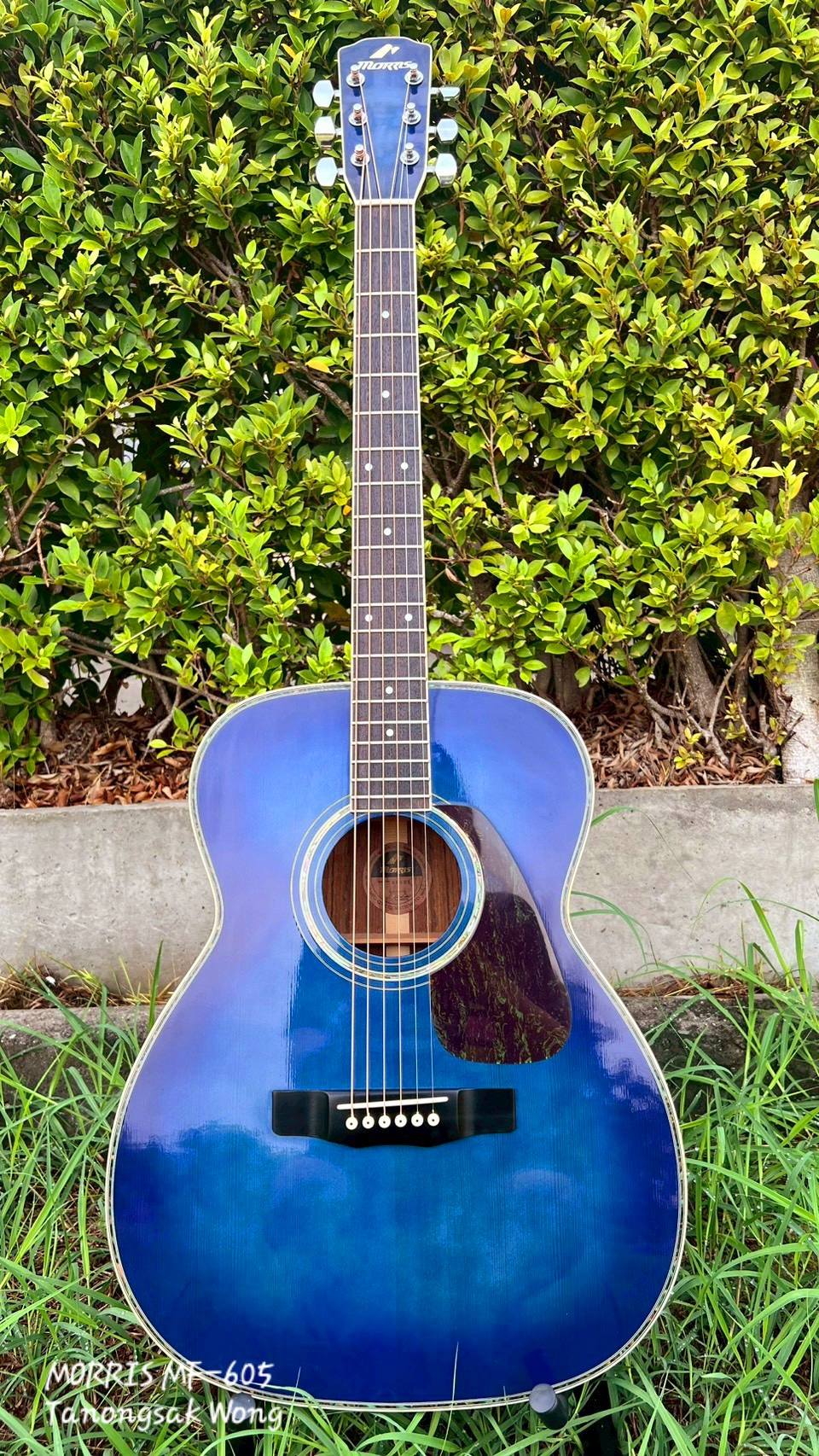 Morris MF-605 日本製 Morris MF-605 日本製 Morris MF-605 日本製 Morris MF-605 日本製