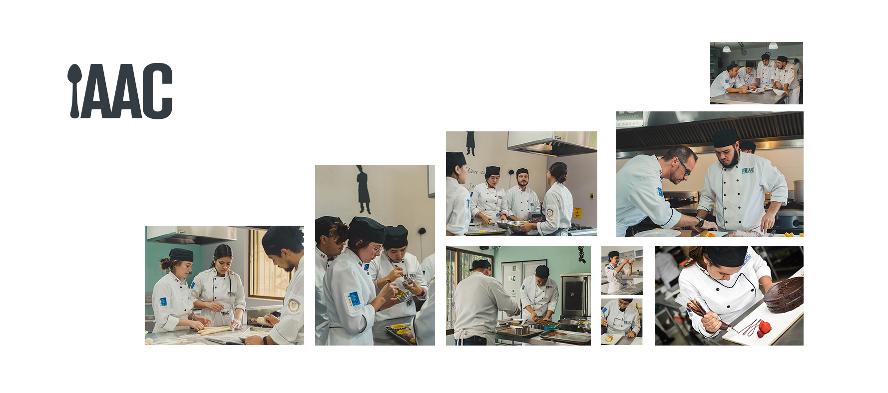 IAAC Instituto Argentino de Artes Culinarias