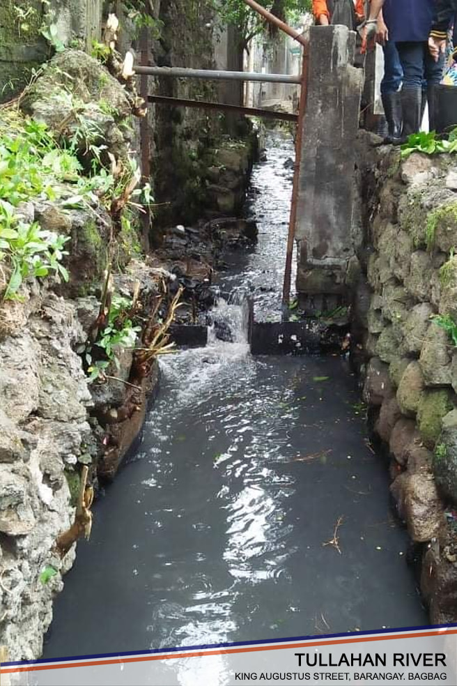 Puno ng iba't ibang uri ng basura at nakahambalang na puno ang isang ...