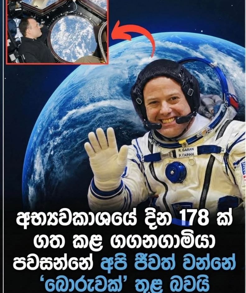 Dammika Ranasinghe