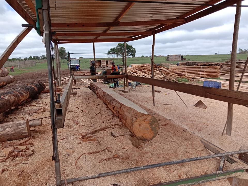 Team Infinity Timber | Mkhondo