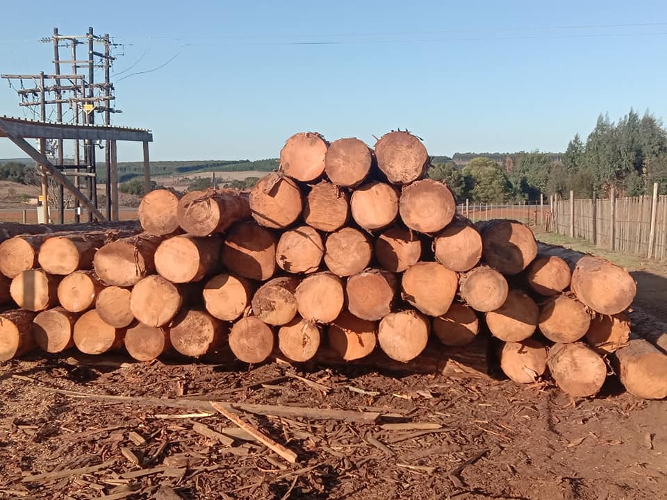 Team Infinity Timber | Mkhondo
