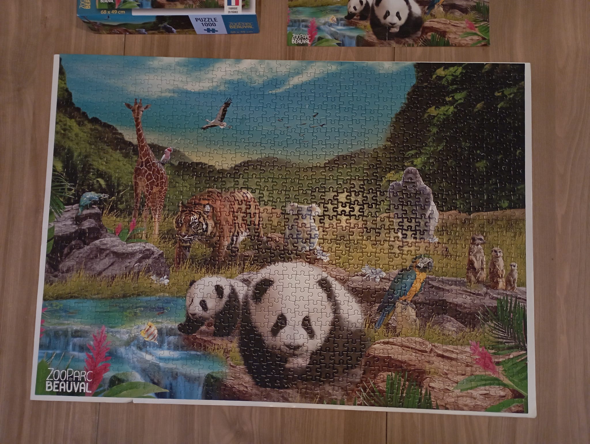 Puzzle 1000 Pièces – Tortue Sur Les Toilettes – 70x50 Cm – Activité Ludique Et Décoration Murale