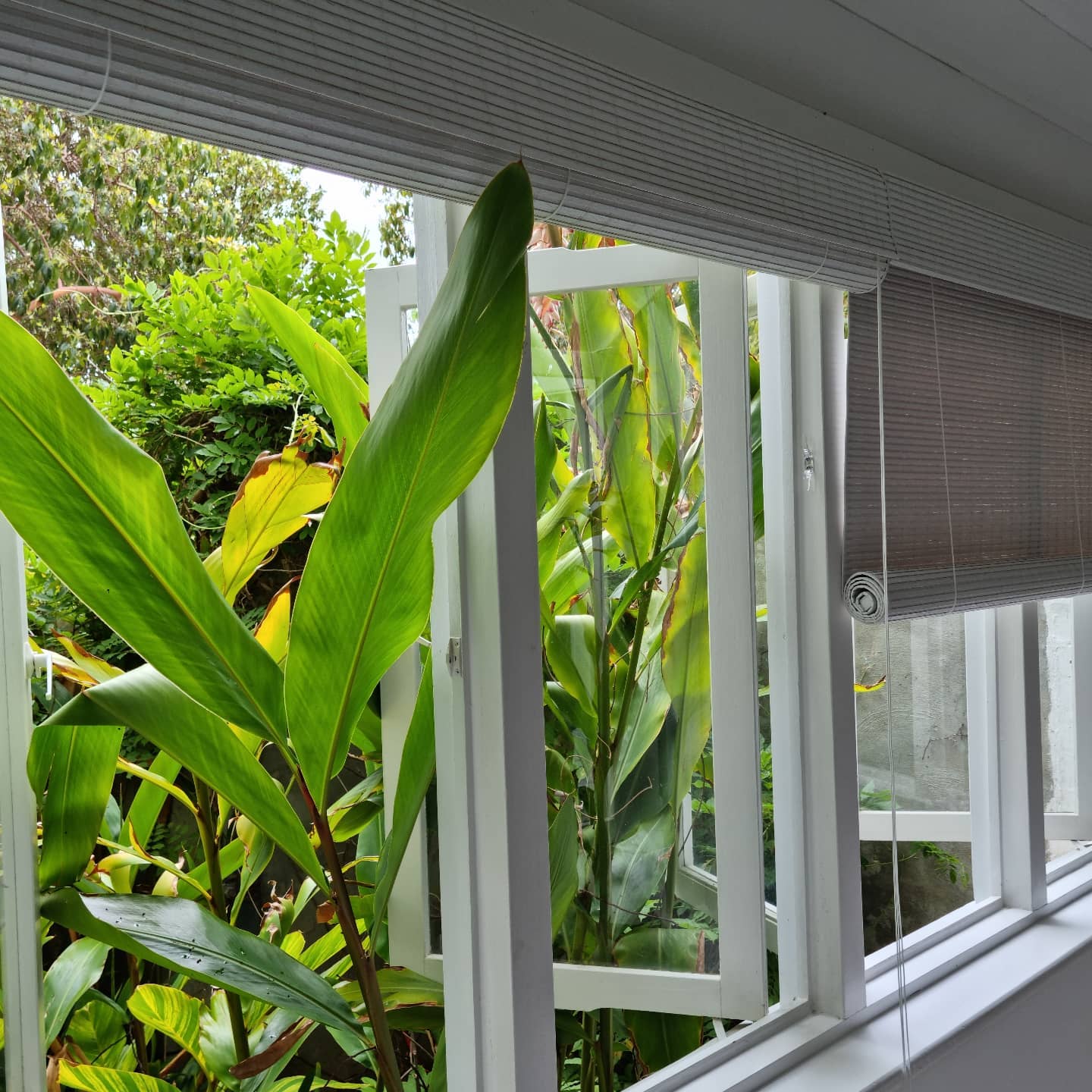 Window Shading Solutions | Kalamunda WA