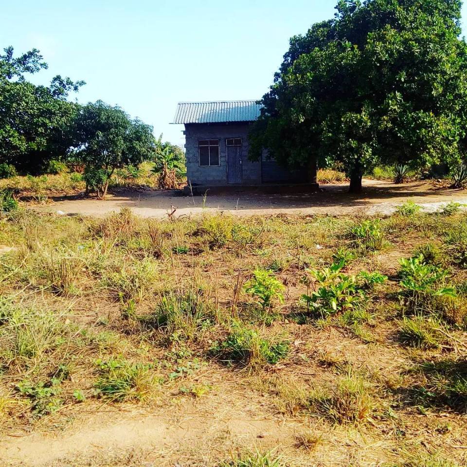 Life after xcul | Shamba kubwa Mlandizi Pwani heka 22.5 linauzwa mil 3 ...