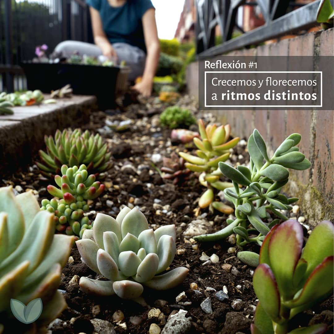 Replantear - Cuidar plantas nos ha hecho entender que cada una tiene un ...